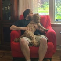 Erik holding a brown poodle mix during daycare